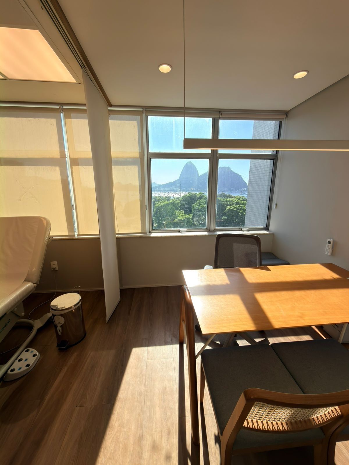 Luiz Frederico Bornickel Alvarenga-0