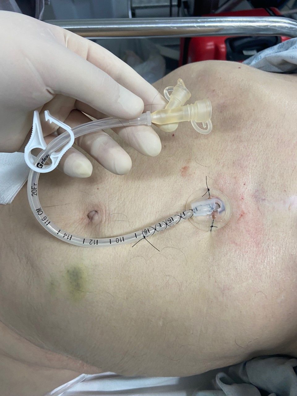 Guilherme Amadeu Poleto-47