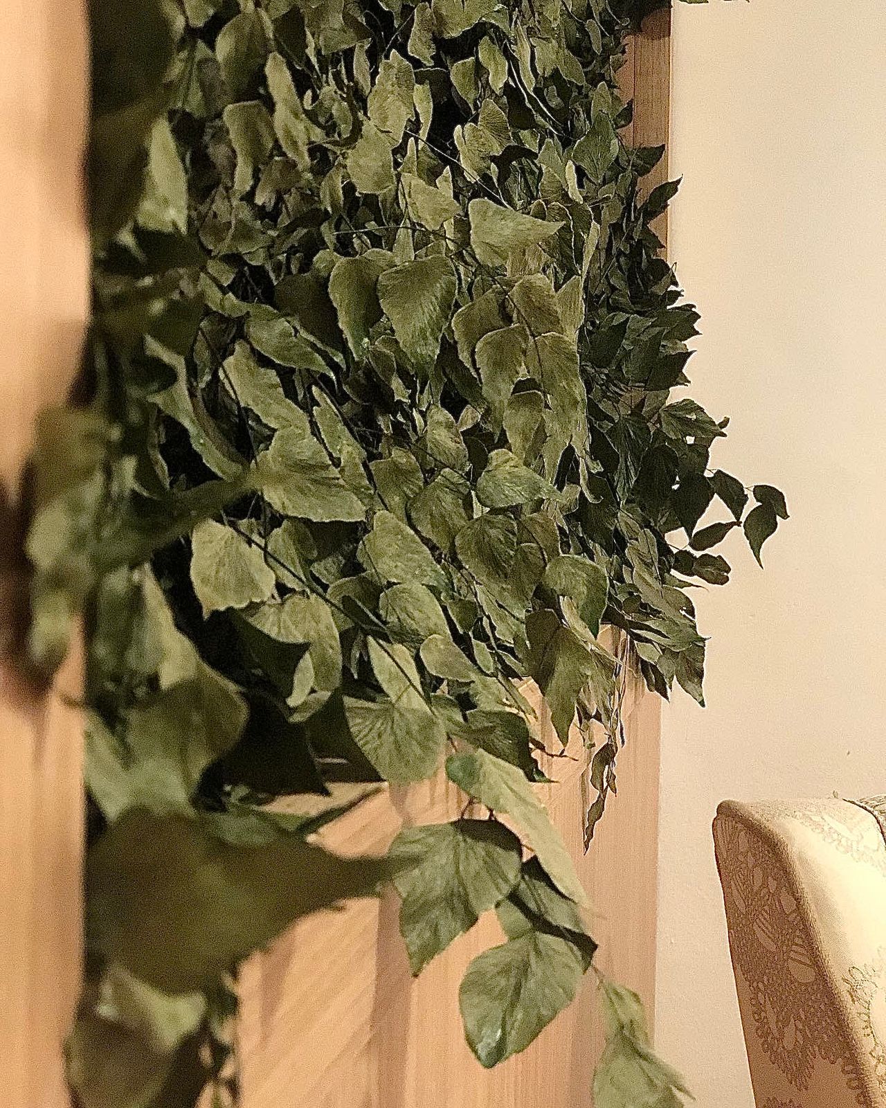 Vítor Rocco Torrez-4