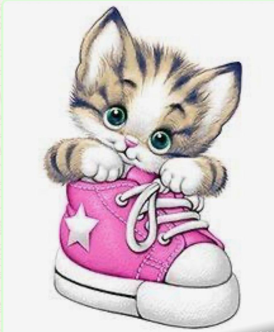 Amanda Bertazzoli Diogo-2