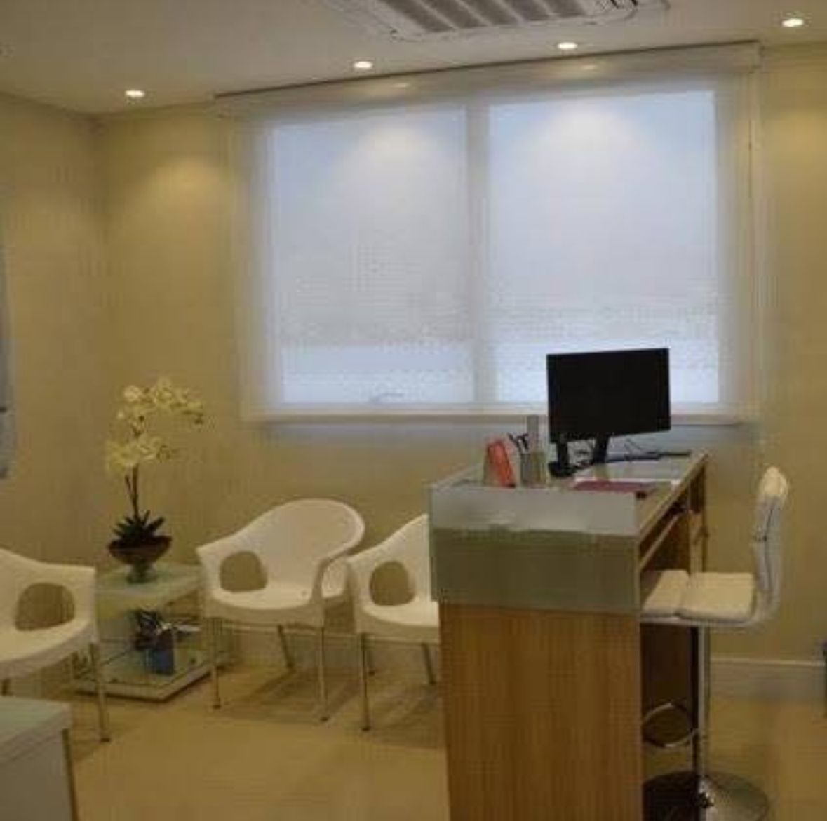 Vera Lucia De Toledo Mendes-1