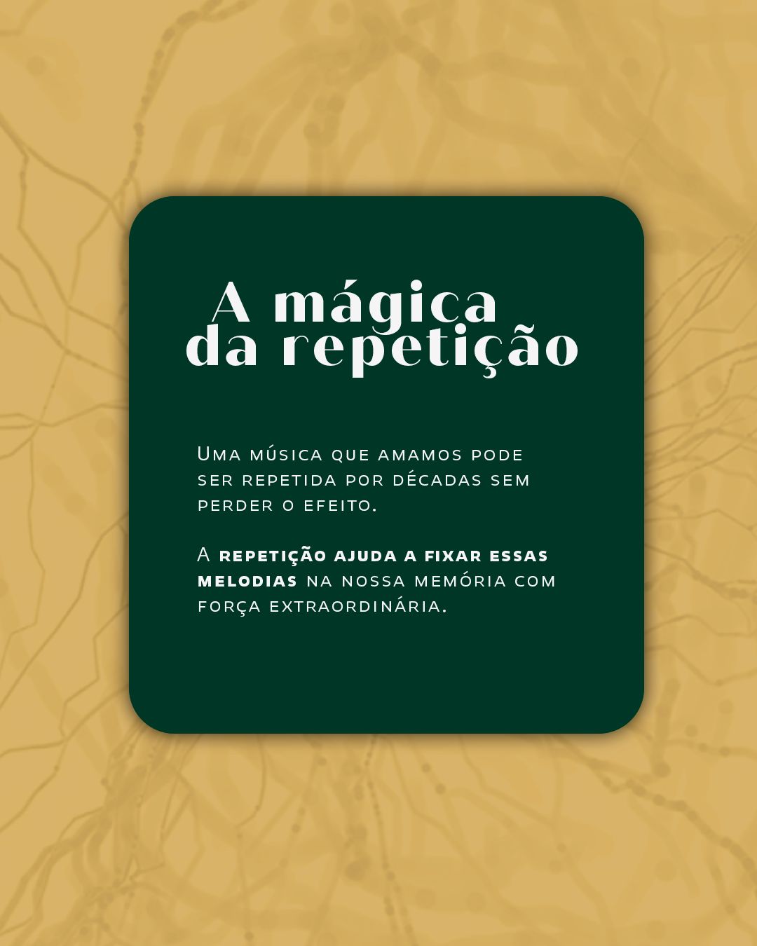 Igor Pereira Matos De Oliveira-41