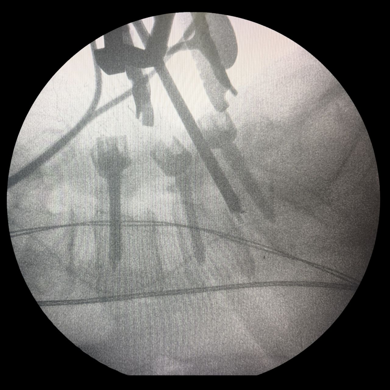 David Tafur Muñoz-2463