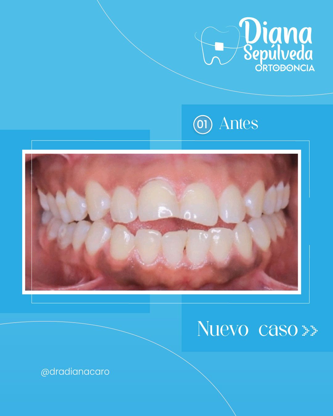 Diana Carolina Sepúlveda Vizcaino-10