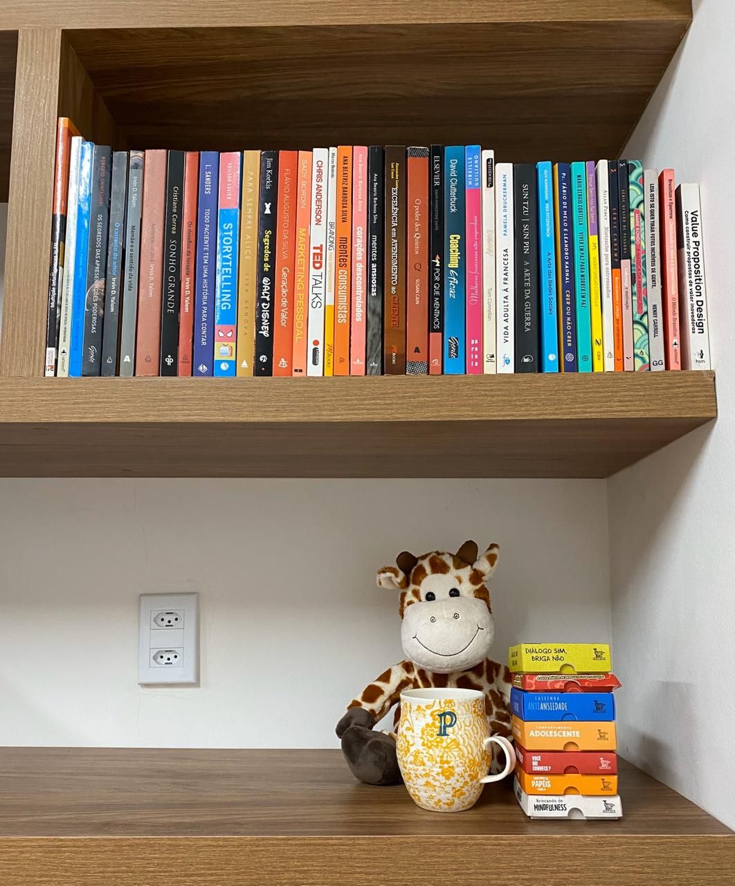 Ana Paula Adler Borges-17