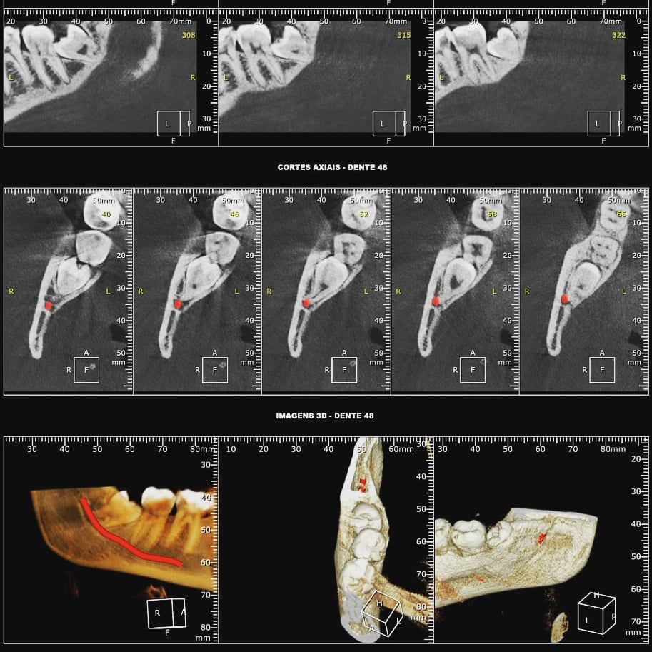 Renato Barjona Miranda De Miranda-6