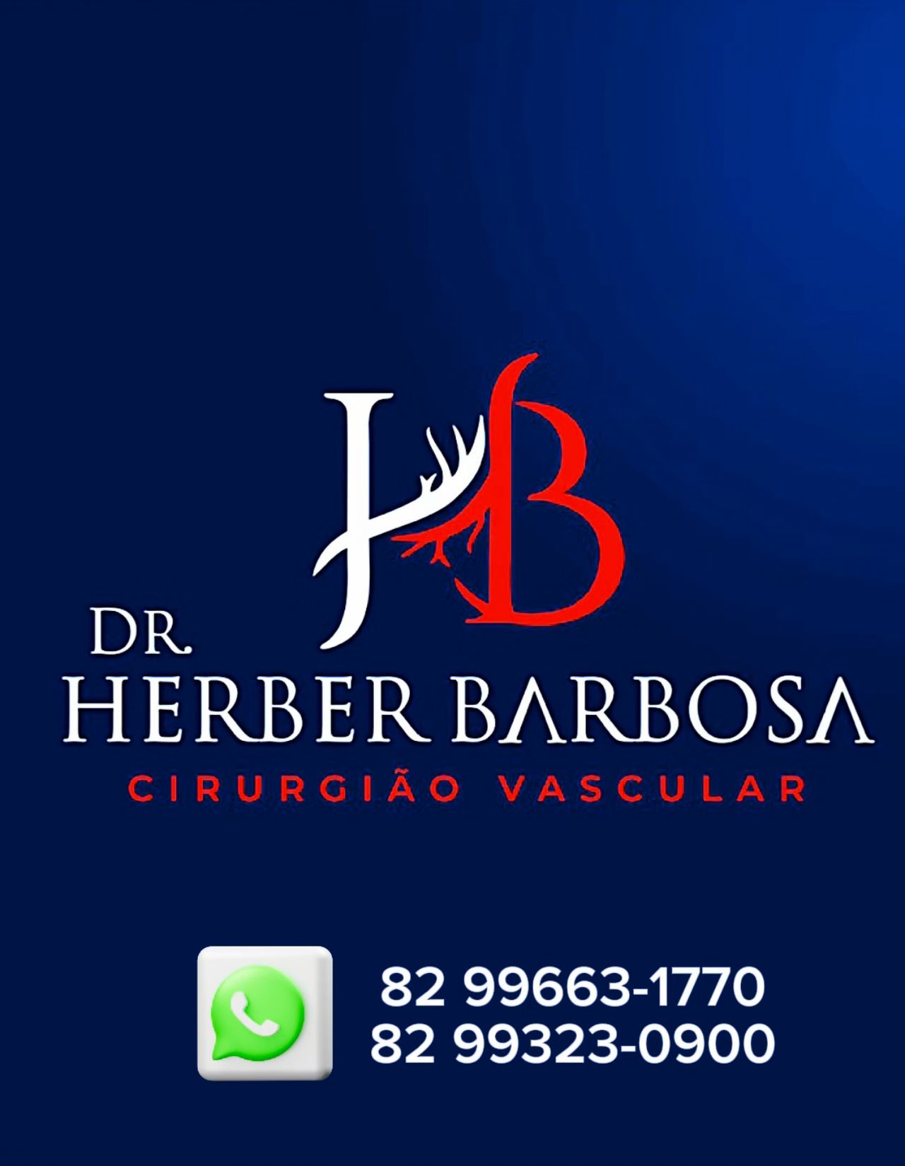 Herber  Barbosa Matias -8
