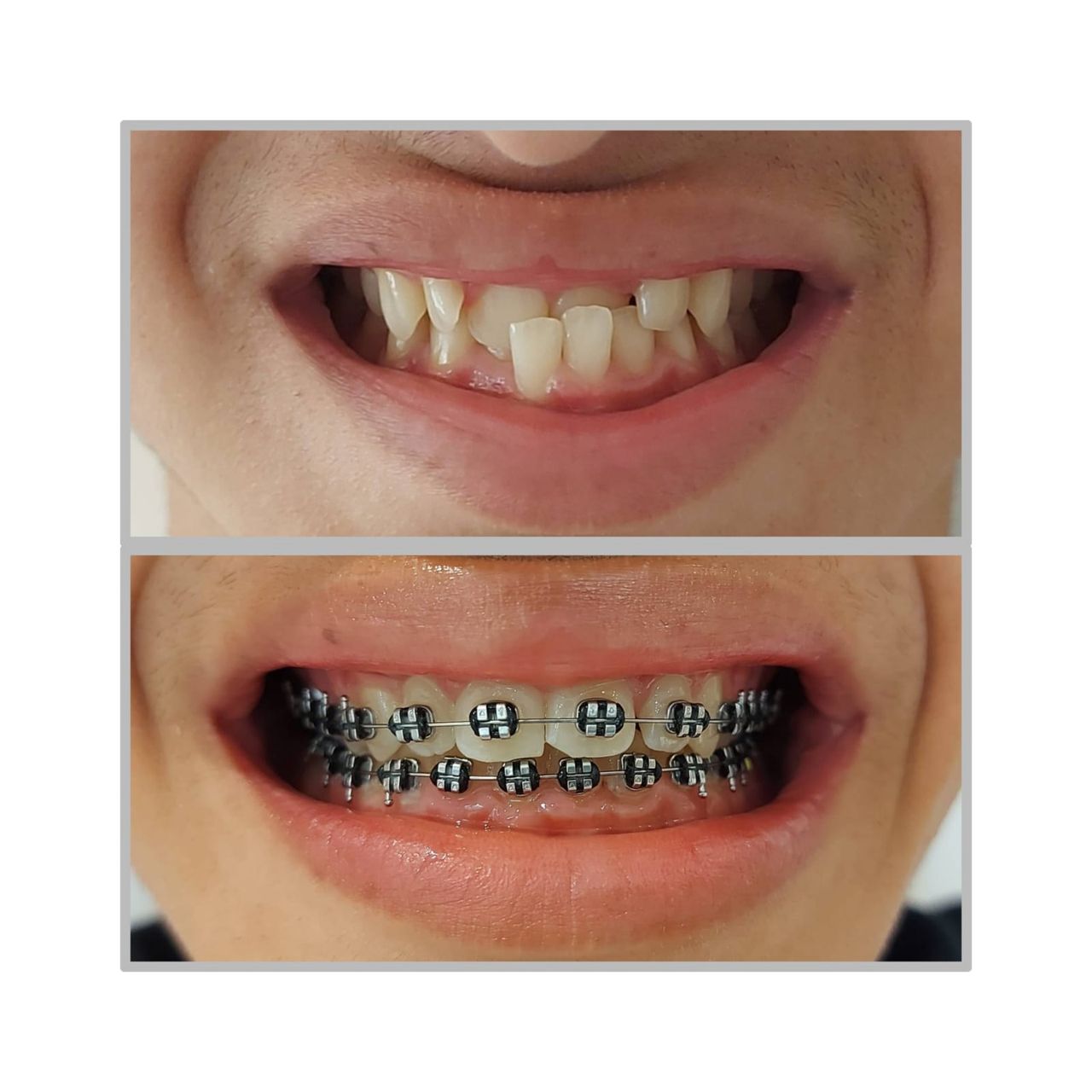 Camila De Loyola E Silva Avellar Fonseca-0