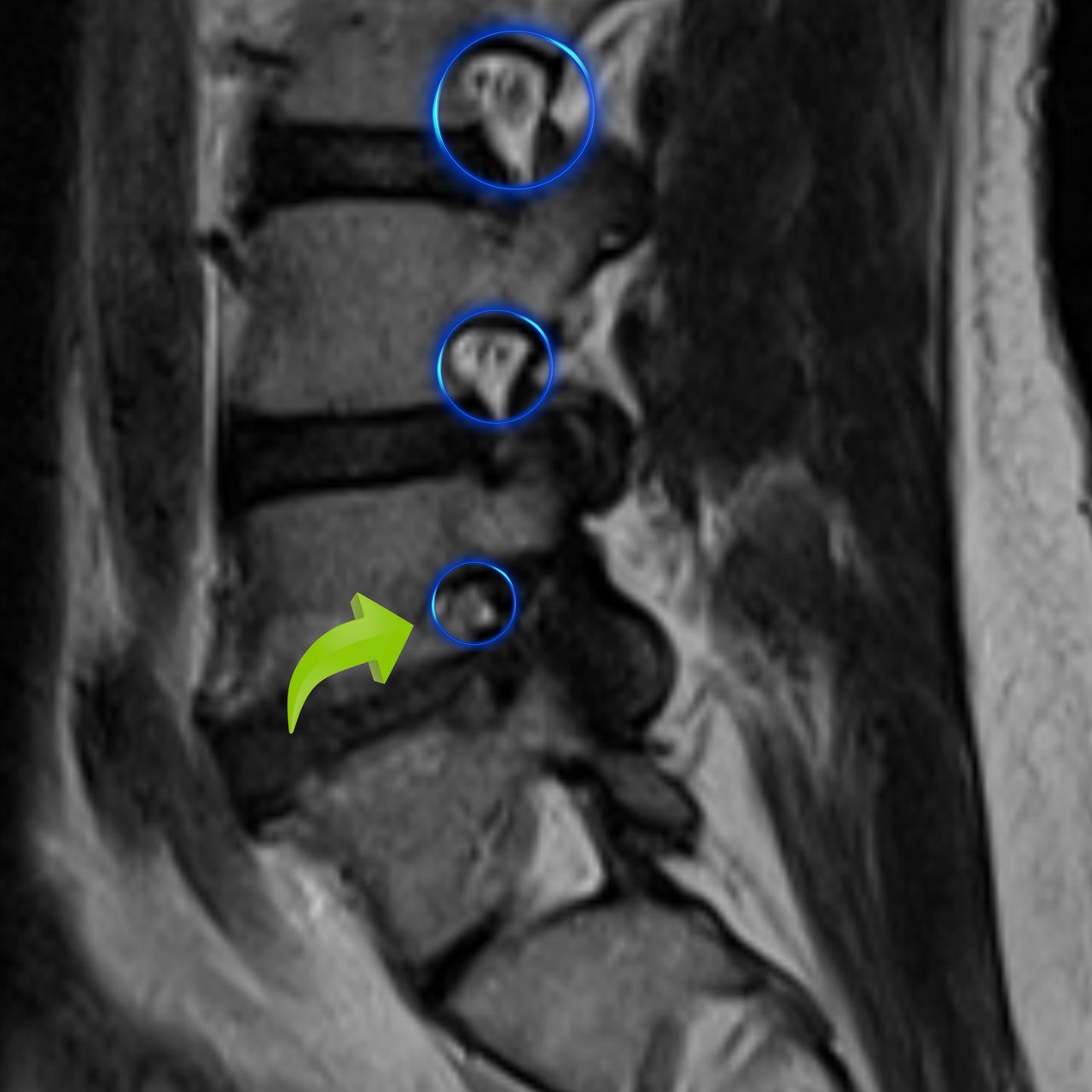 David Tafur Muñoz-1522
