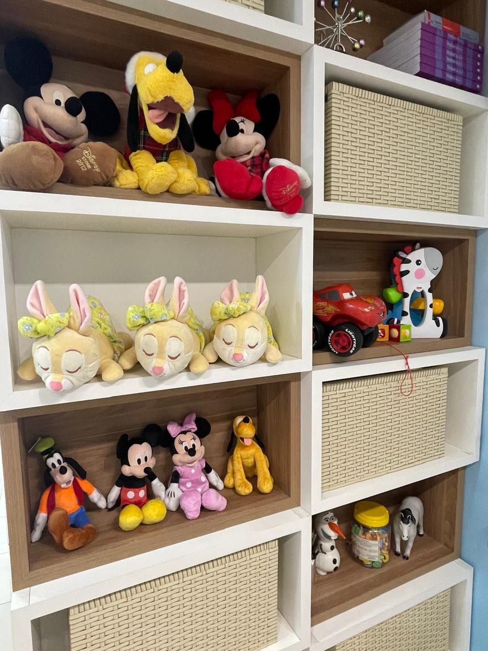 Raíssa Alves Nogueira-8