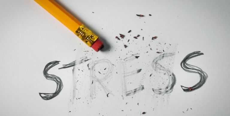 Natalia Paz Videla Villalón-9