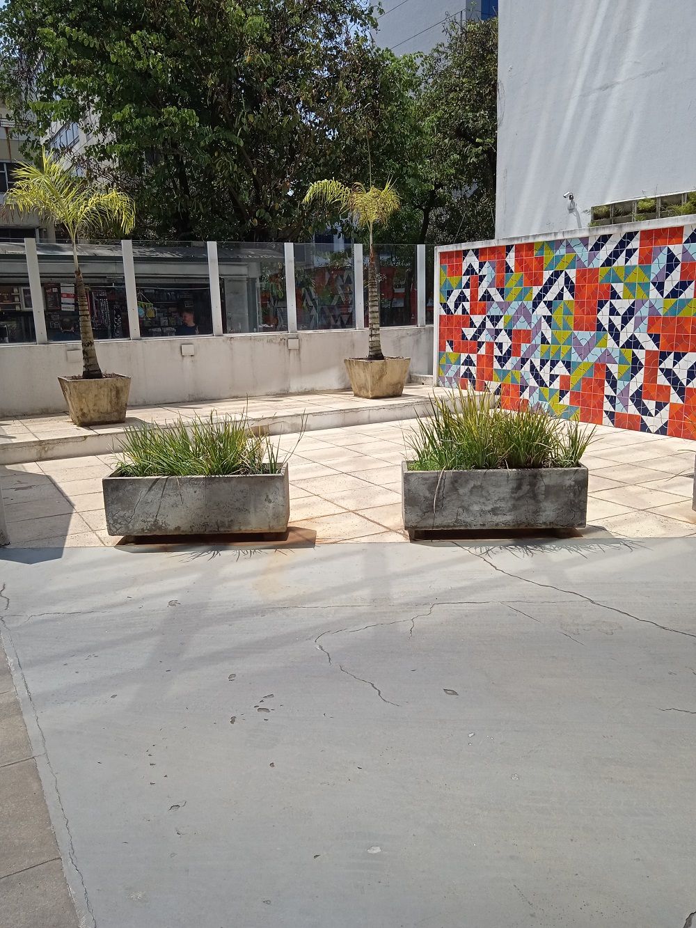 Luiz Alberto Bomjardim Pôrto-17