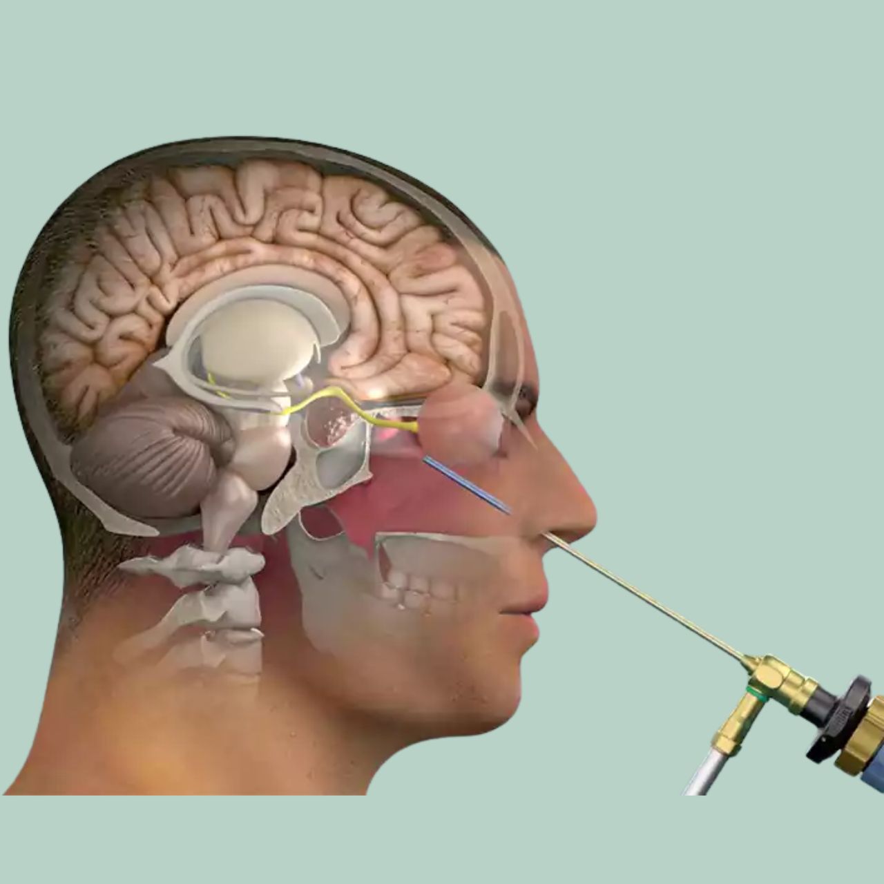 David Tafur Muñoz-1431