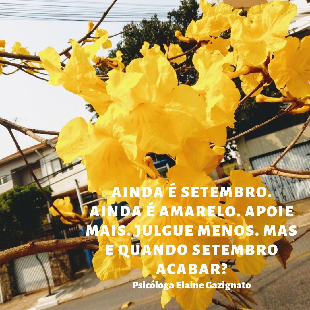 Elaine Cristina Da Silva Gazignato-0