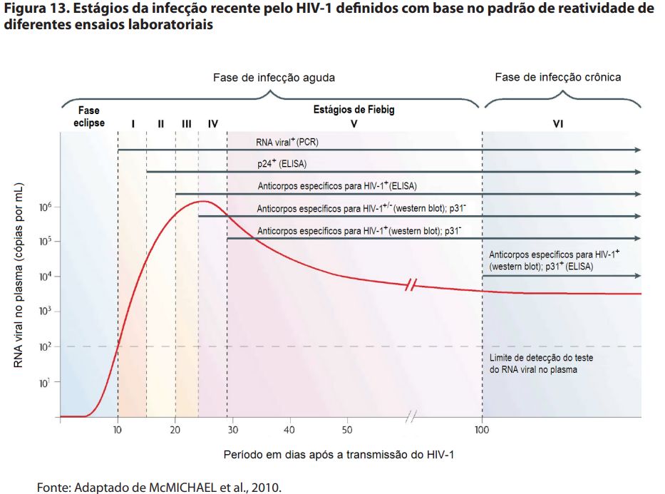 Isabelle Brasil-0