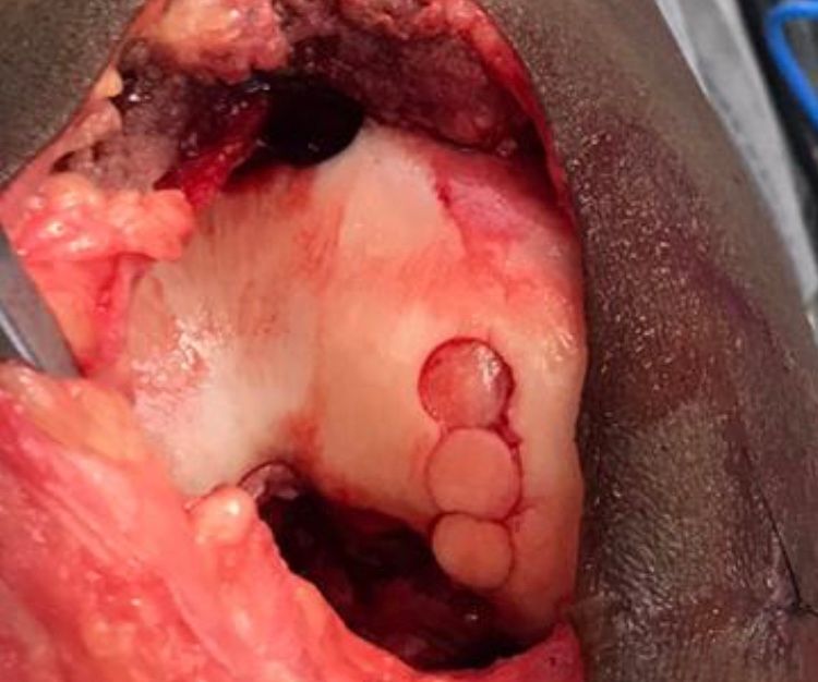 Dimitri Lovisaro Rumiantzeff-17