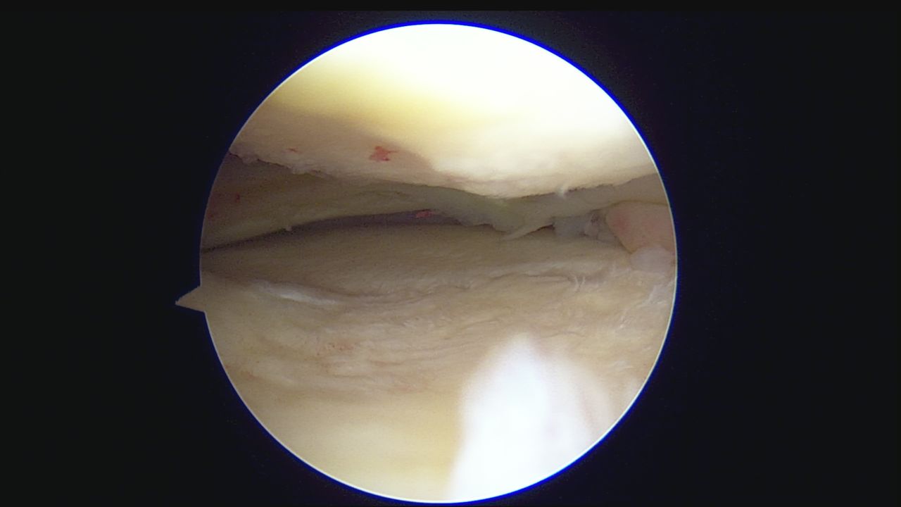 Alexandre Terruggi Jr-22