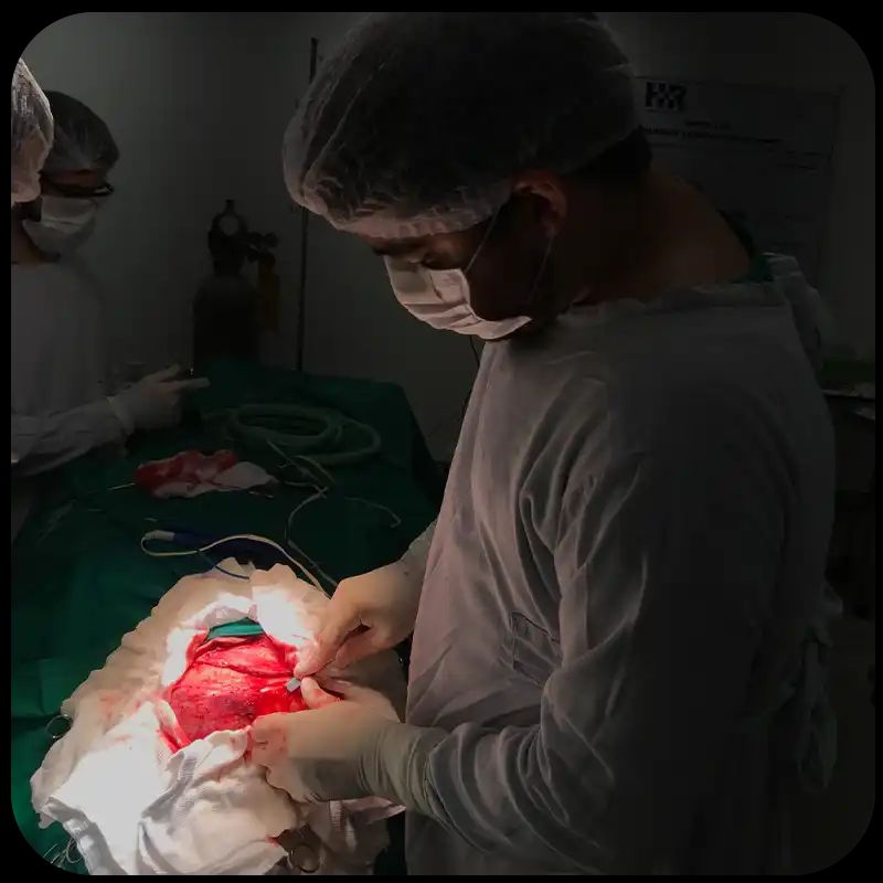 Arlindo Ugulino Netto-2