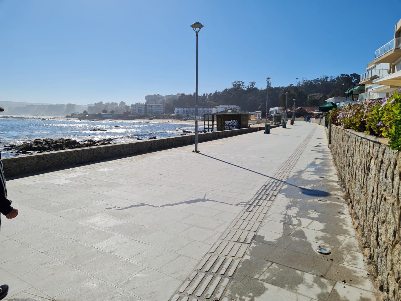 Romy Bravovisch Froimovich-12