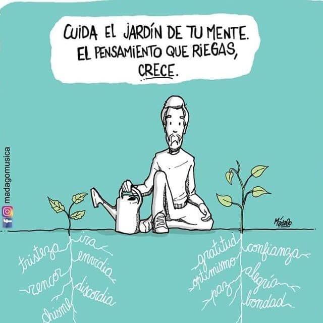 Ignacio Alvear Ponce-4