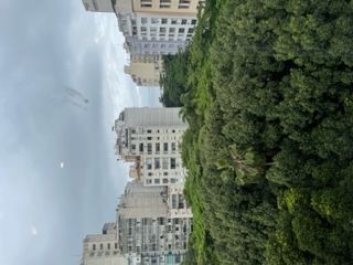 Claudia Vasconcelos-2