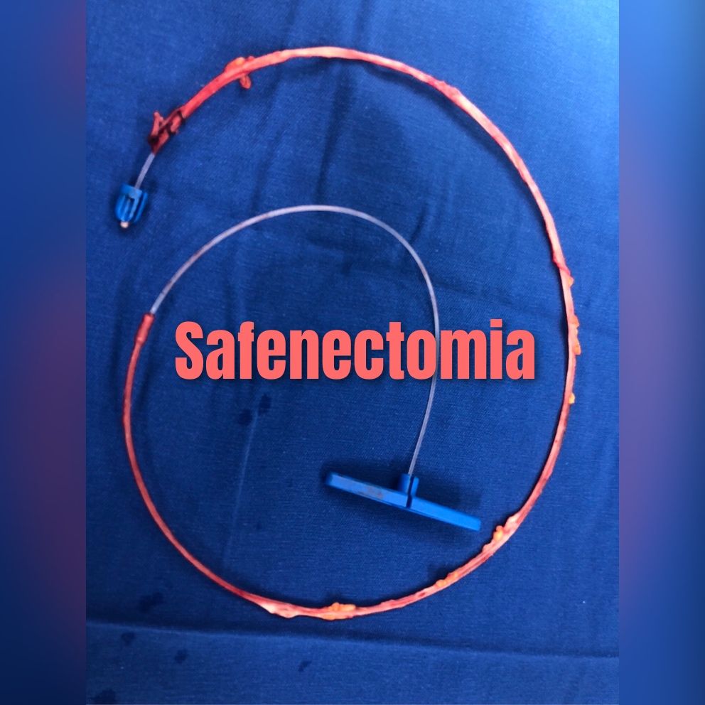 Luiz Carlos Furtat Jr-8