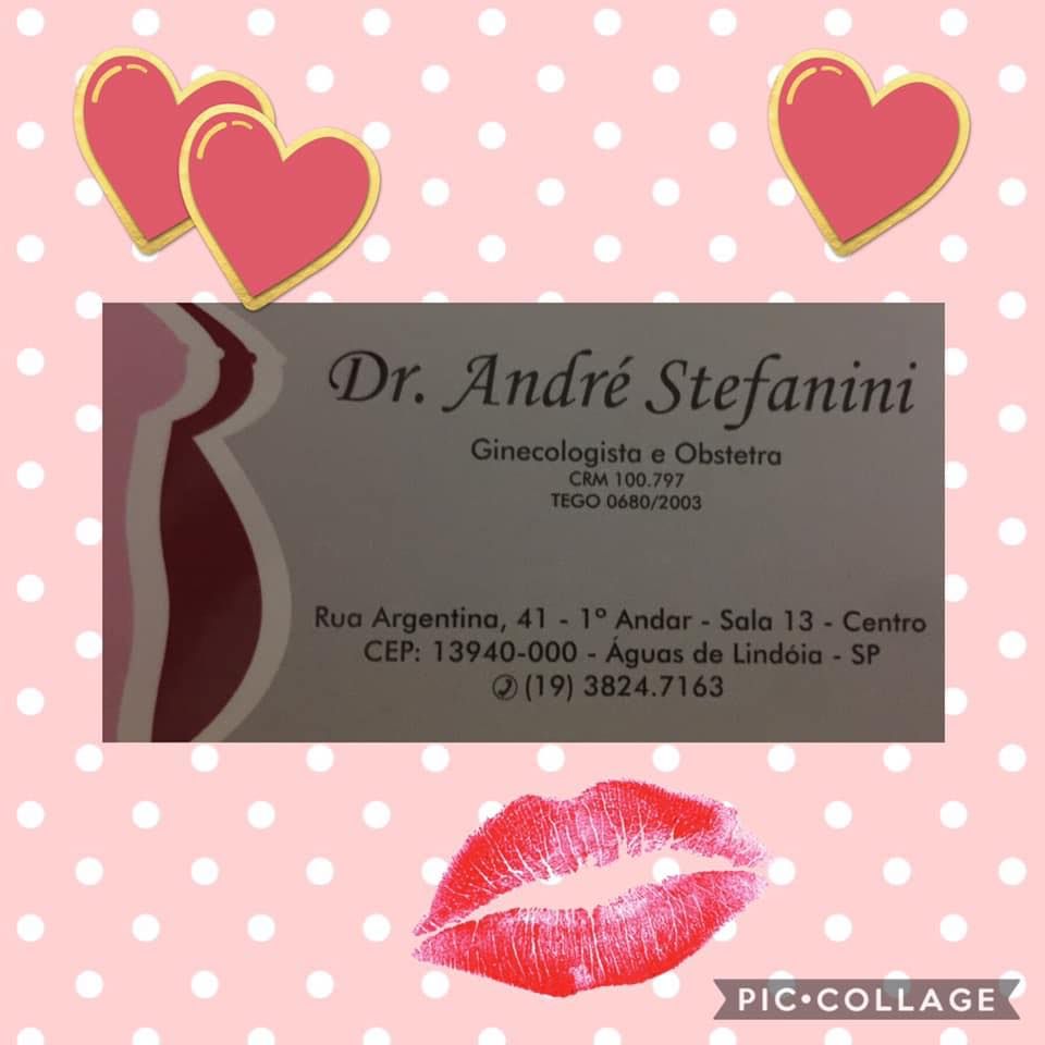 Andre Luis Reis Stefanini-14