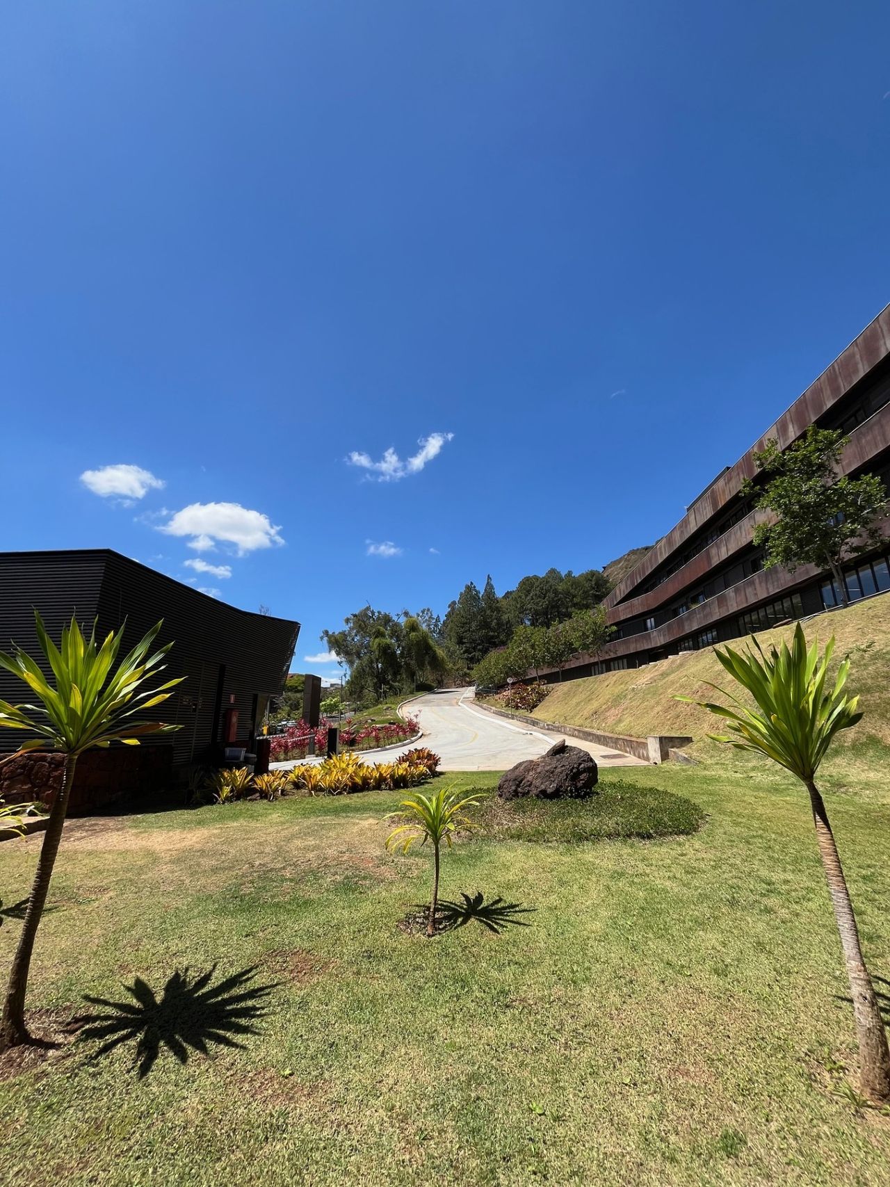 Lycia Tobias De Lacerda-13