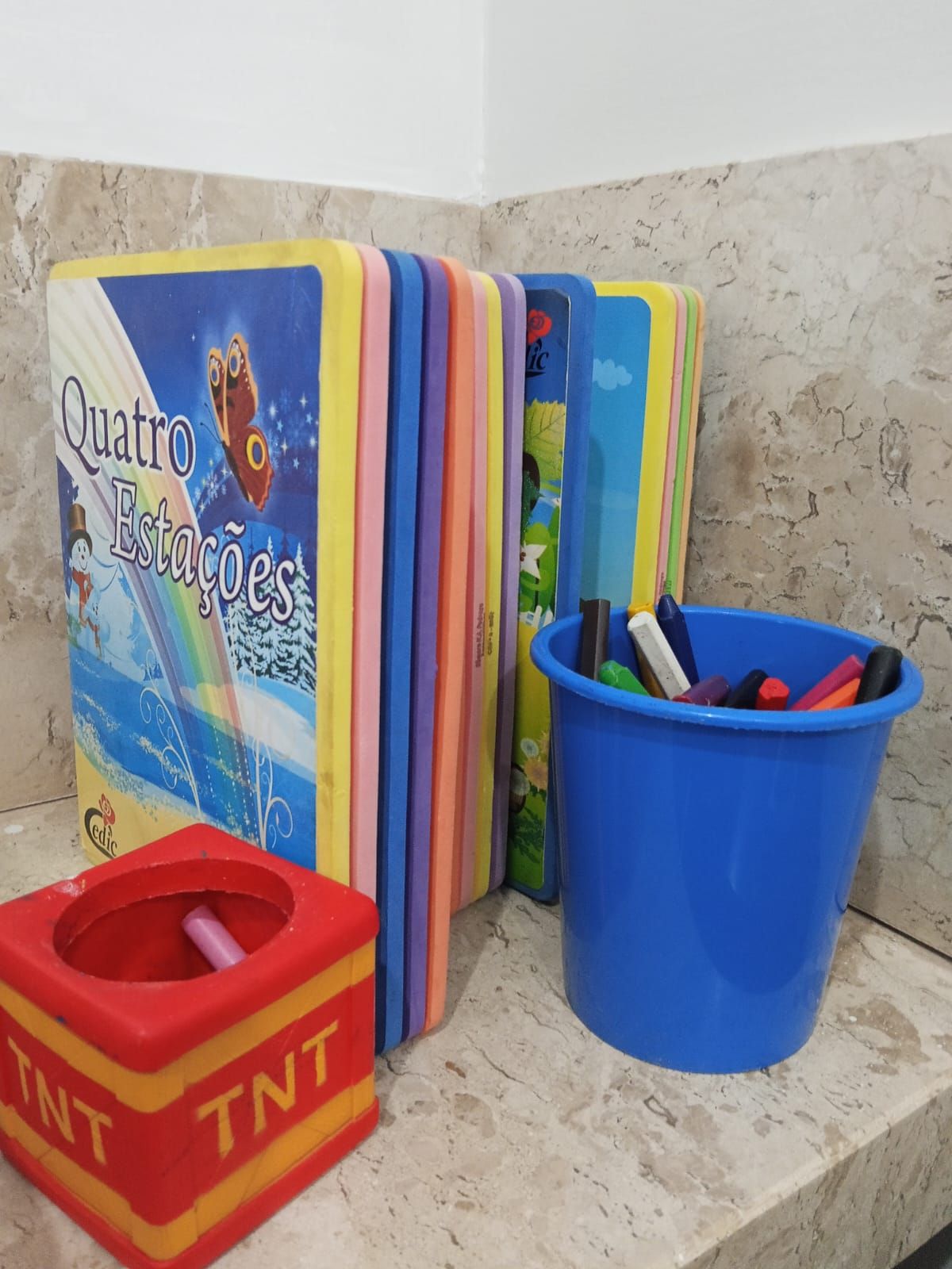 Anikelly Silva Soares Rodrigues-2