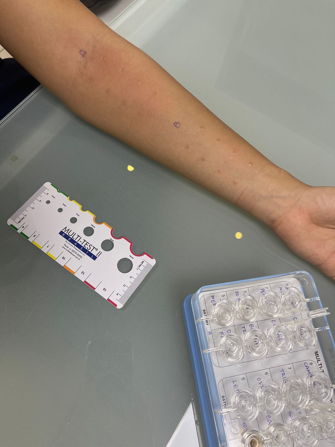 Aline Vieira Bento -2