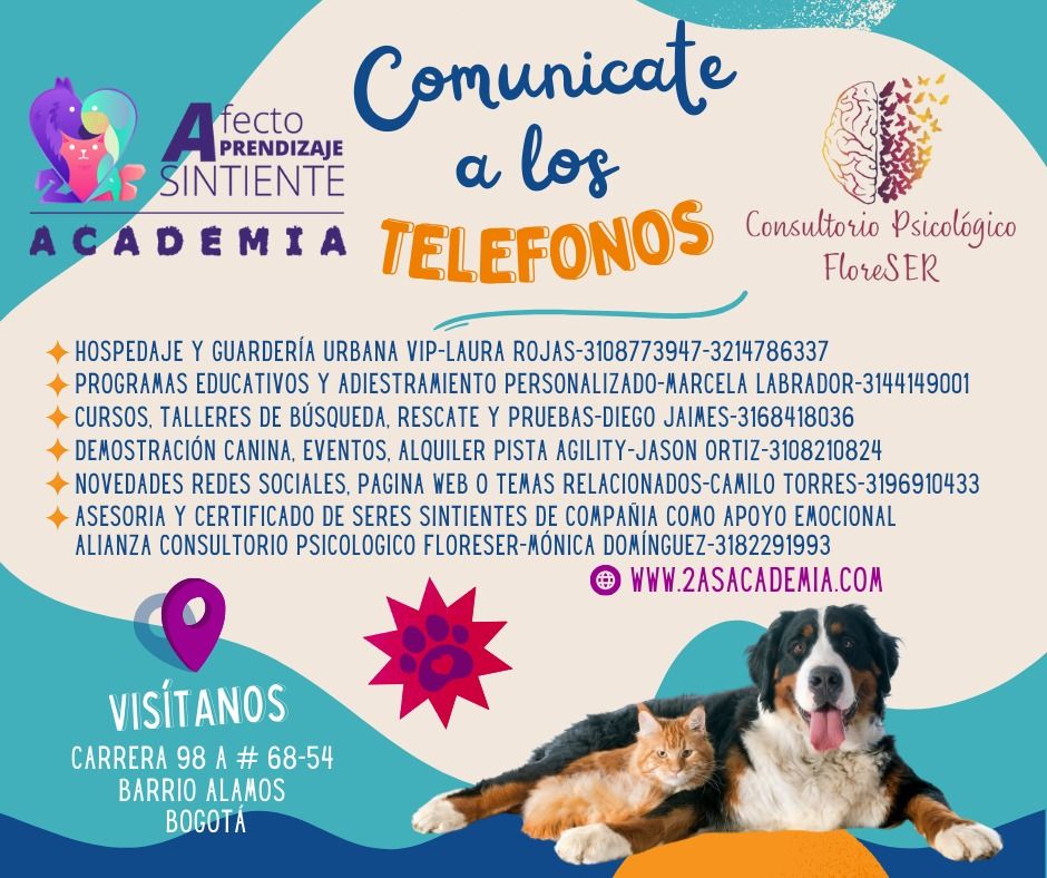 Mónica Andrea Domínguez Cobo-3