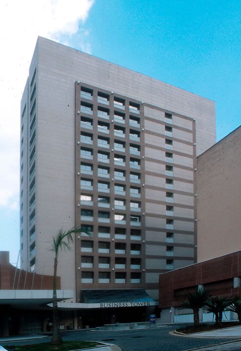 Silvana Chedid Grieco-0