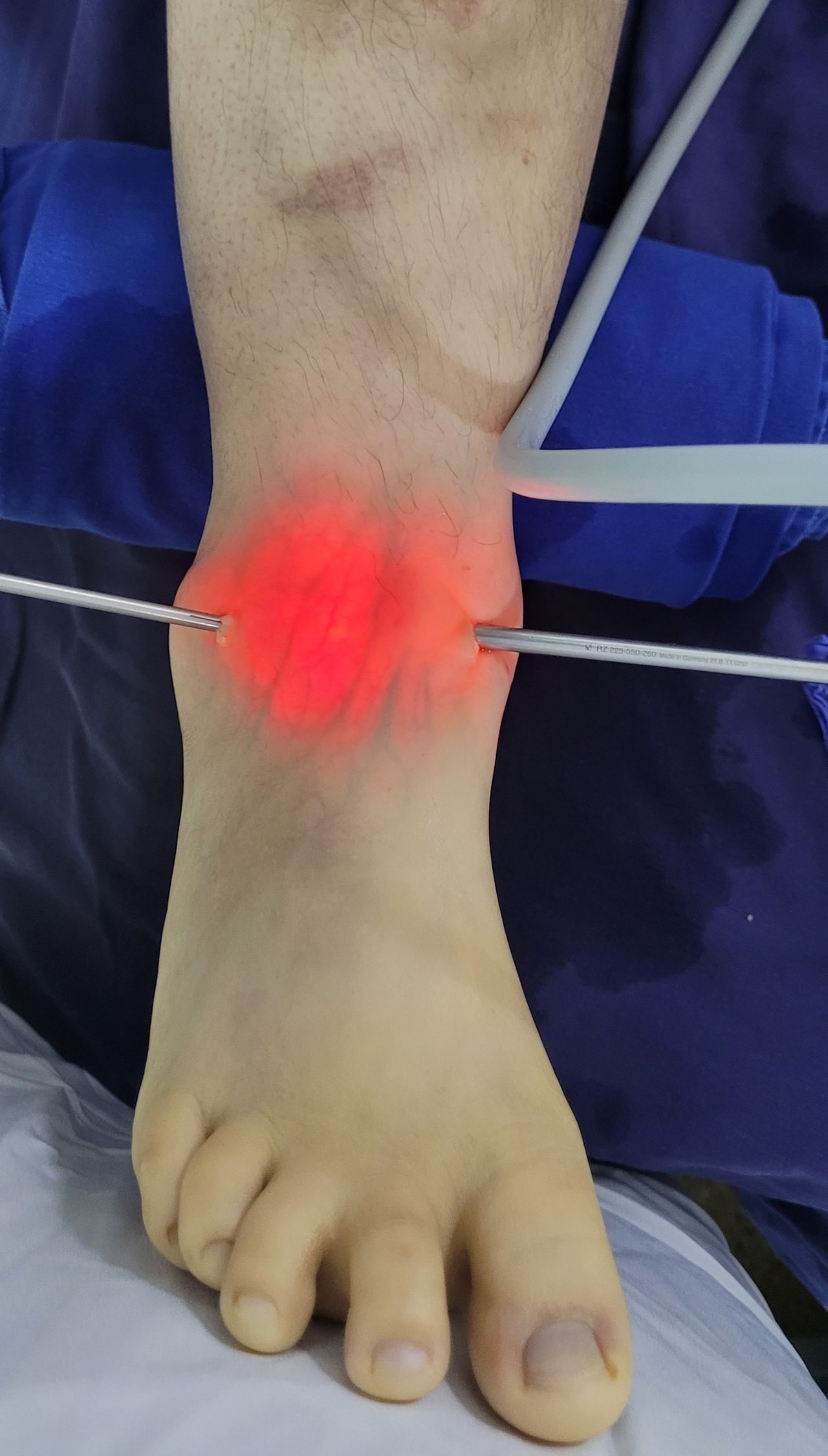 Giselle Blanco De Moya-2