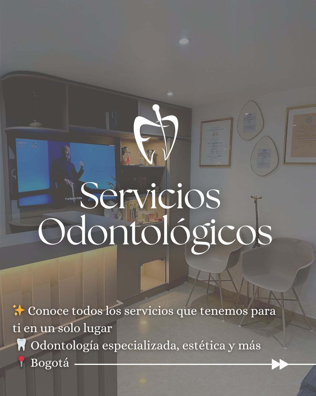 Erika Jimenez Cante-8