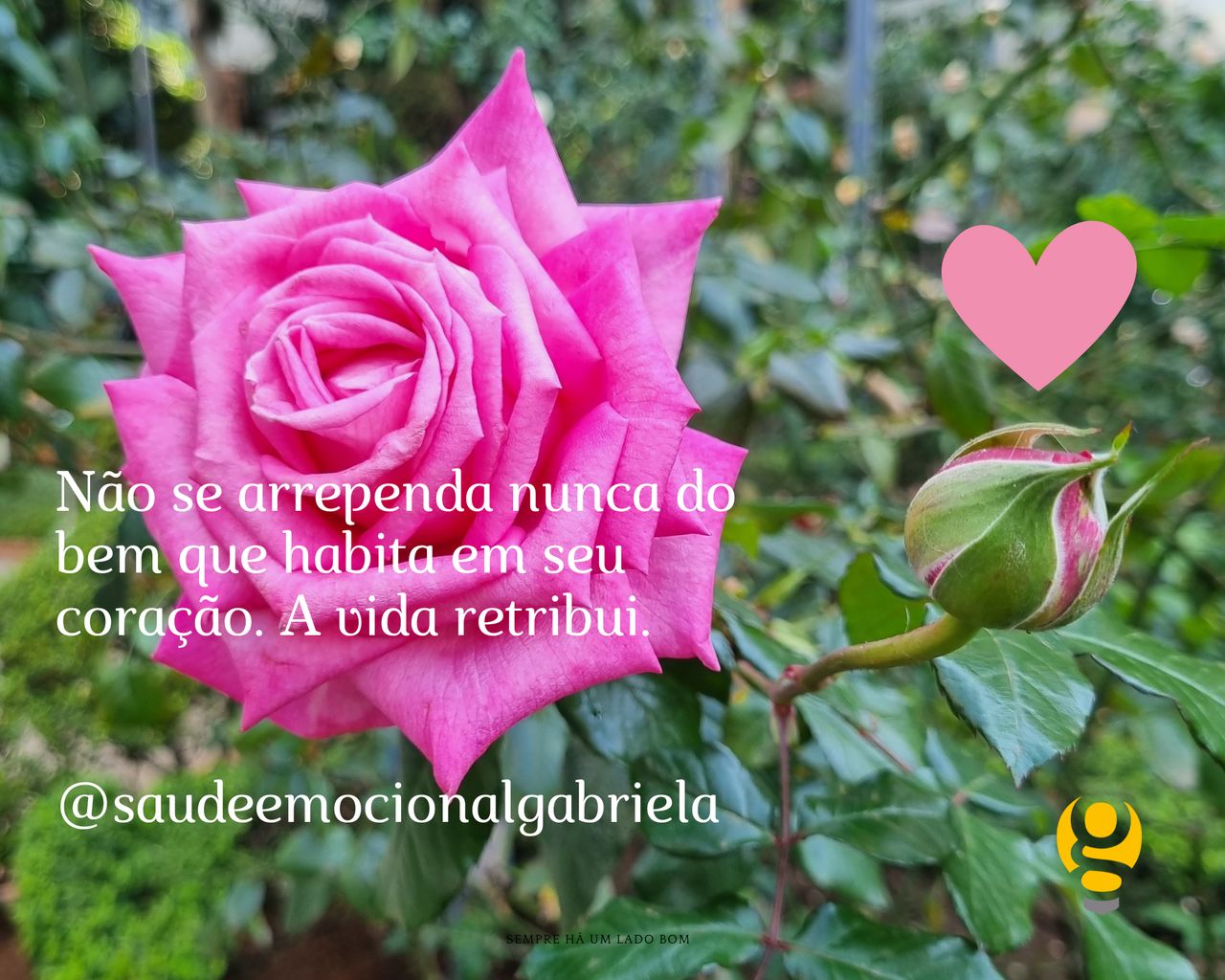 Gabriela Ferreira De Almeida-151