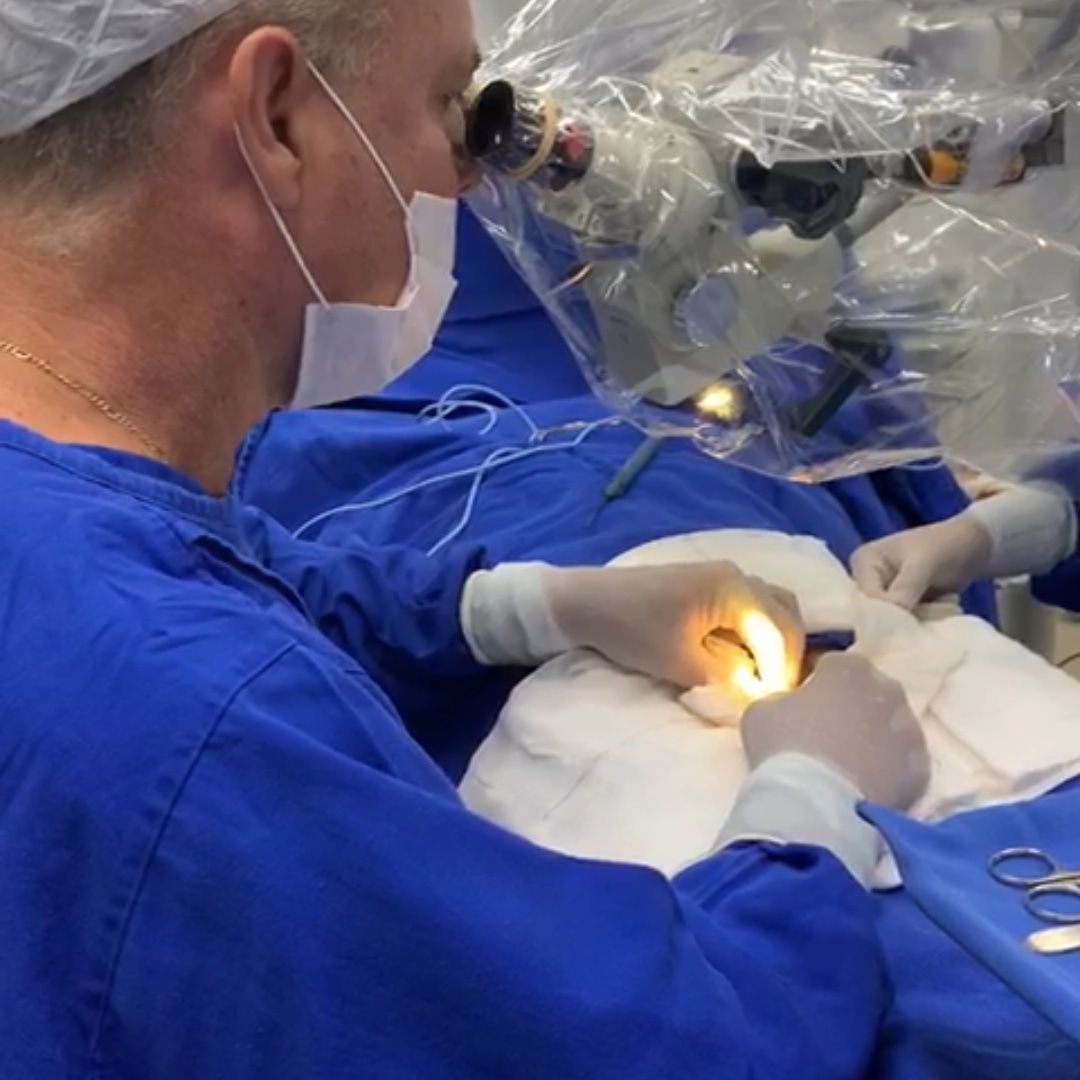 José Neves Junior-1