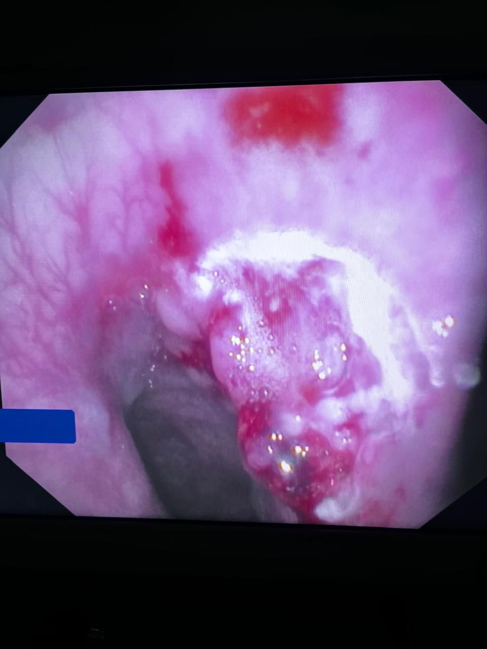 Paola Zúñiga Alarcón-8