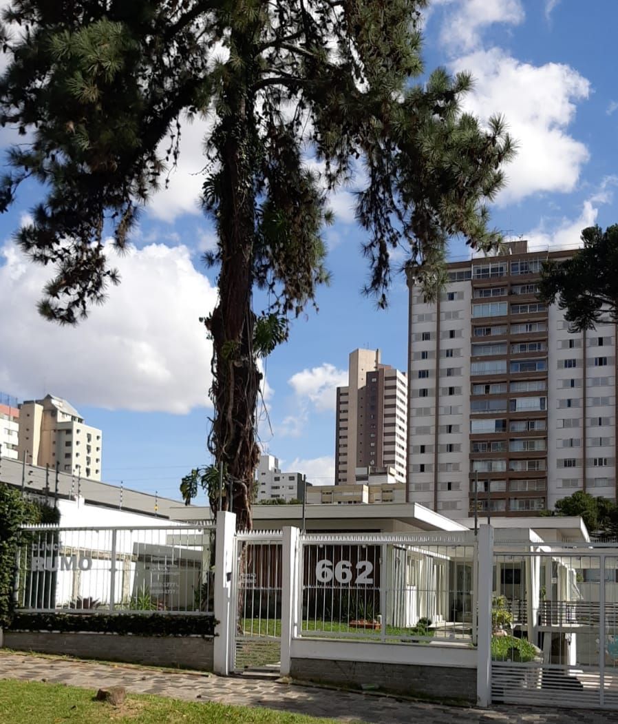 Clara Nelsa Rojas-5