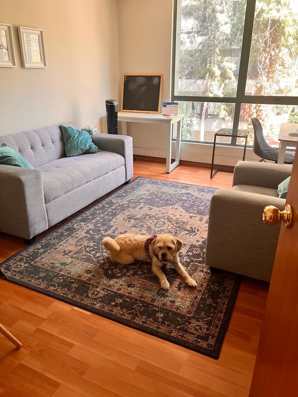 Martin Brunengo Liendo-0