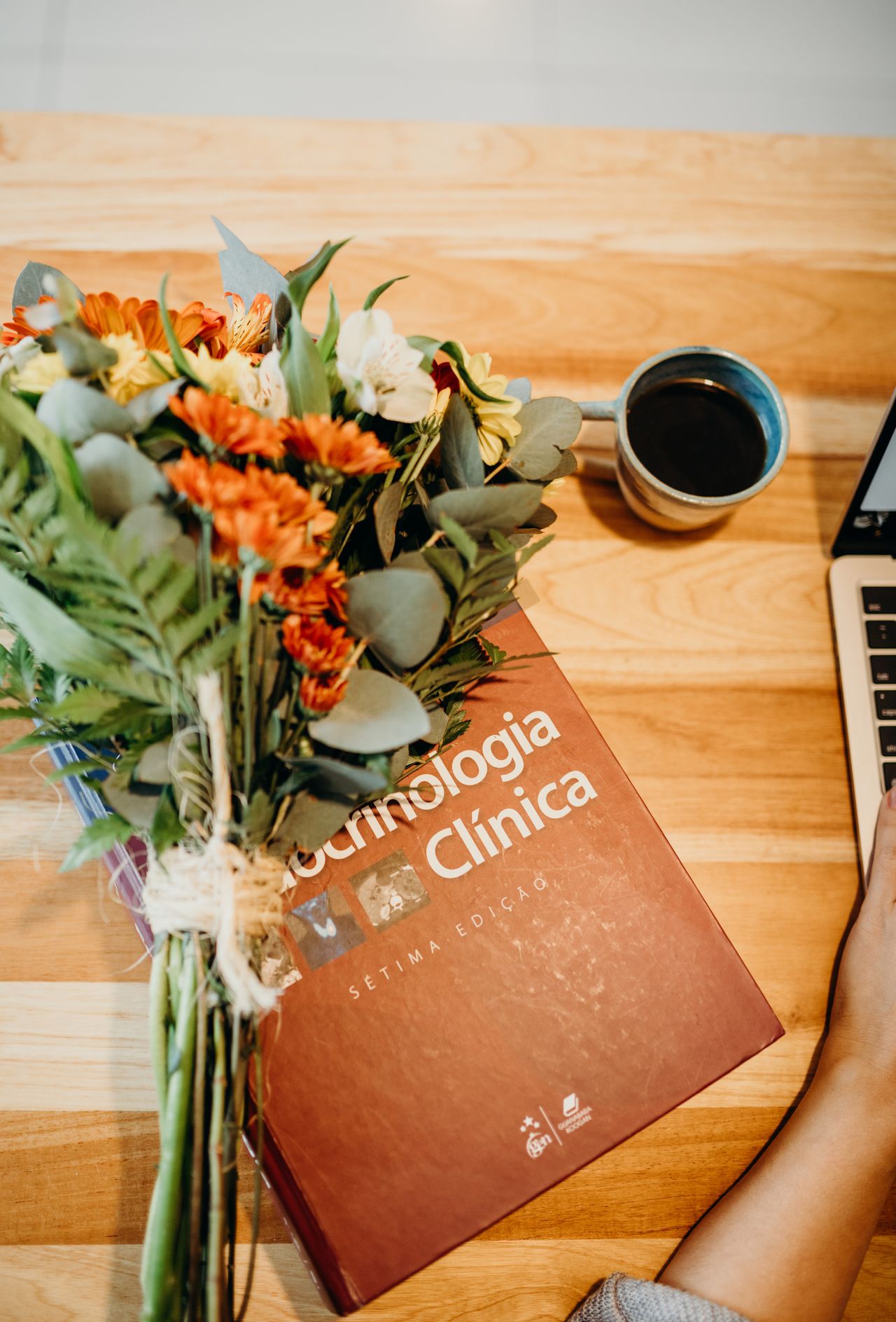 Thainá Dotti De Vilhena Junqueira Moraes-1