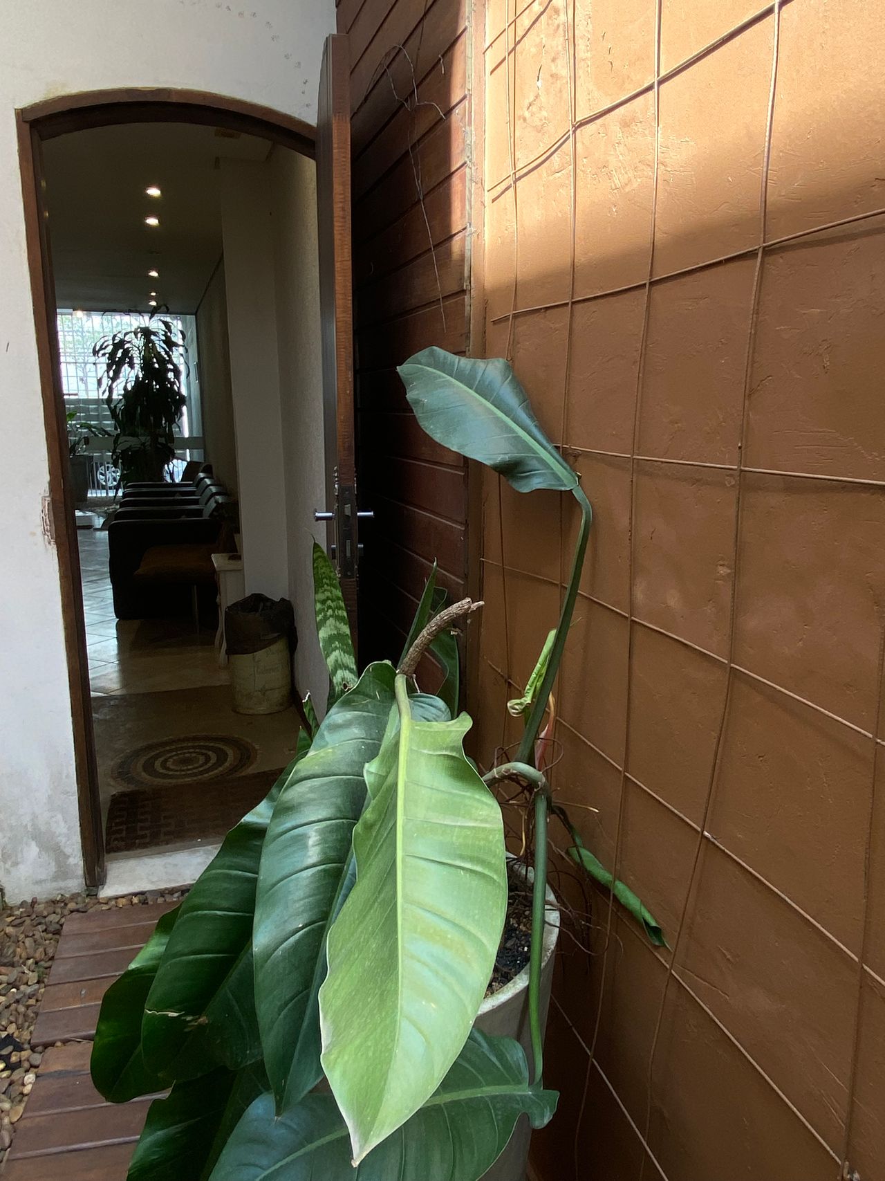 Fernanda Consentino-6