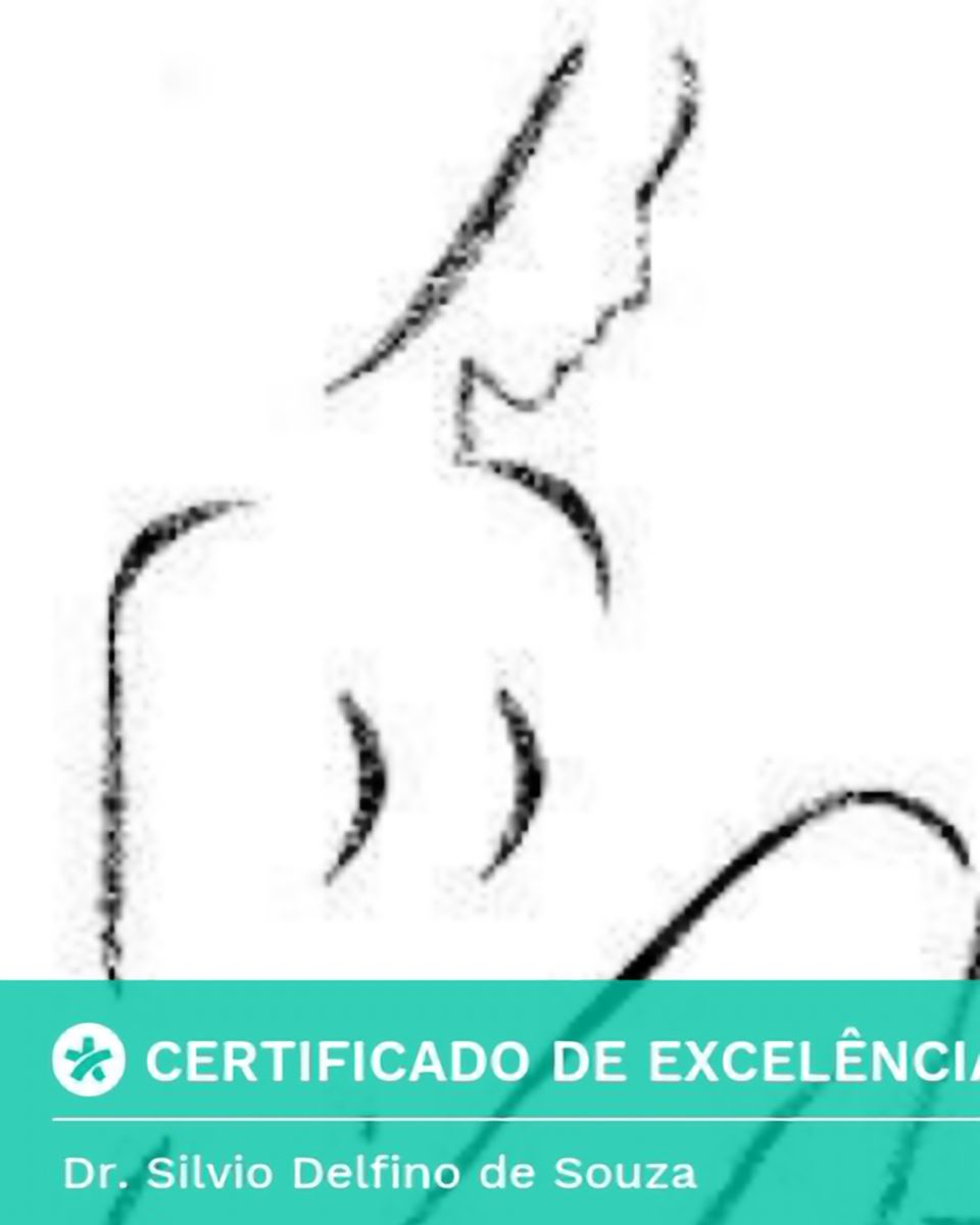 Silvio Delfino De Souza-2