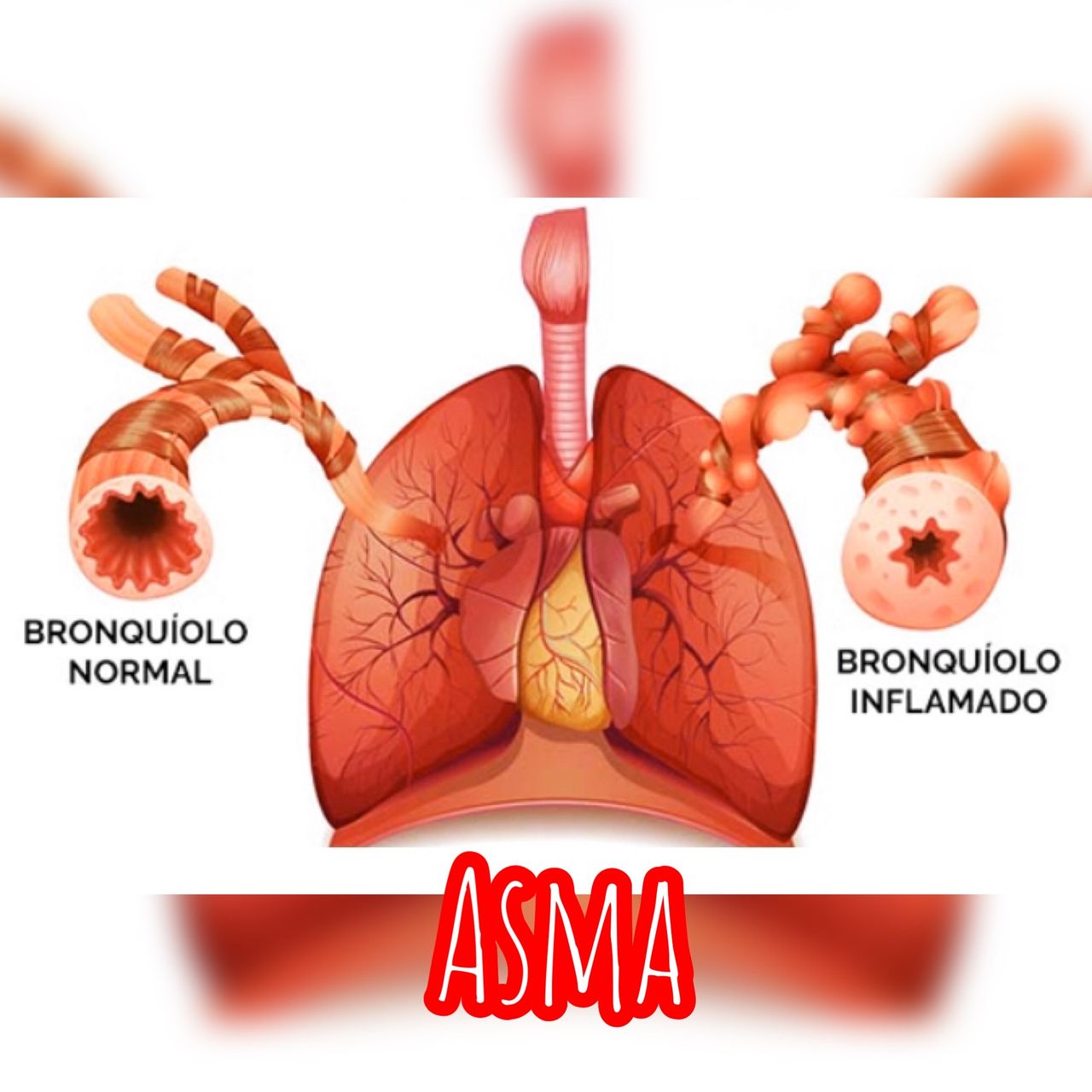 Juliana Lima Ribeiro-2