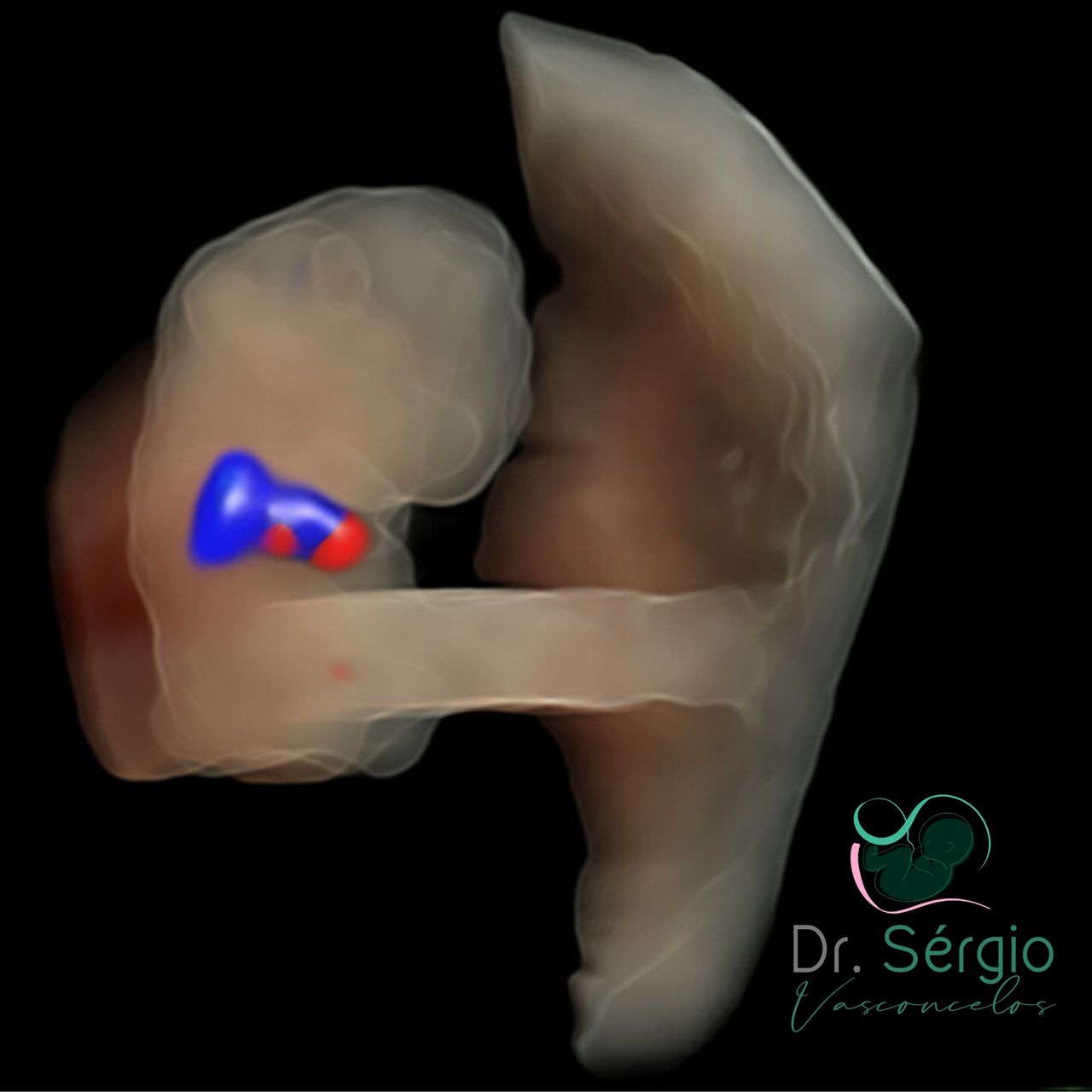 Sérgio De Abreu Vasconcelos Neto-17