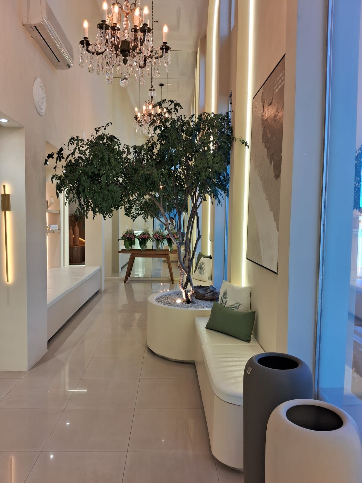 Carolina Lemos Abreu Silveira-6