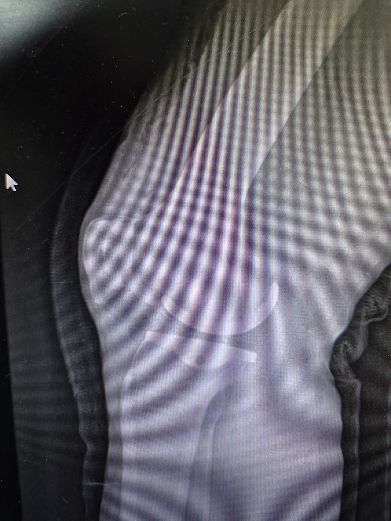 José Vicente Rey Rey-0