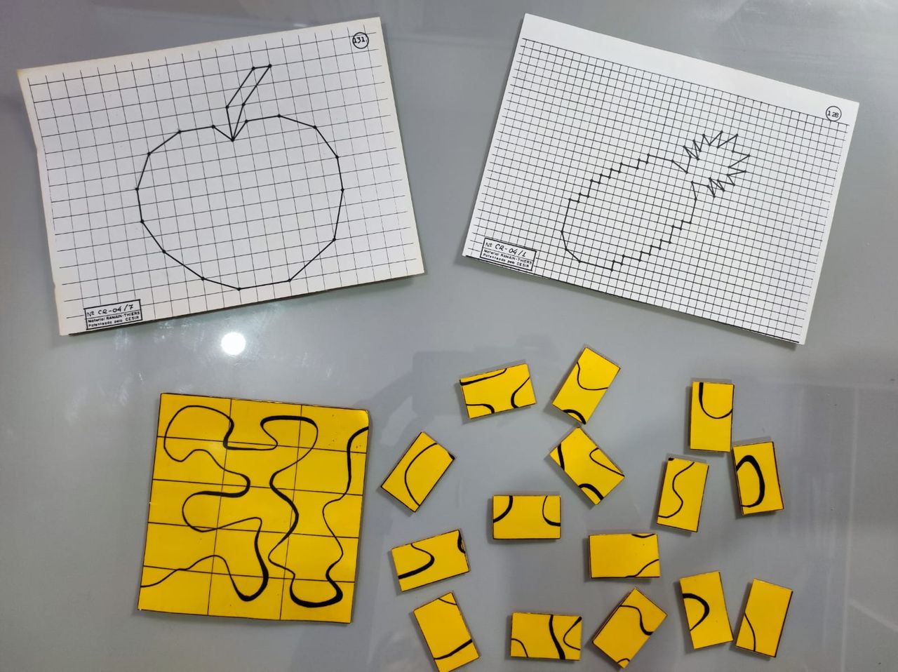 Doroteia Murcia Souza-8