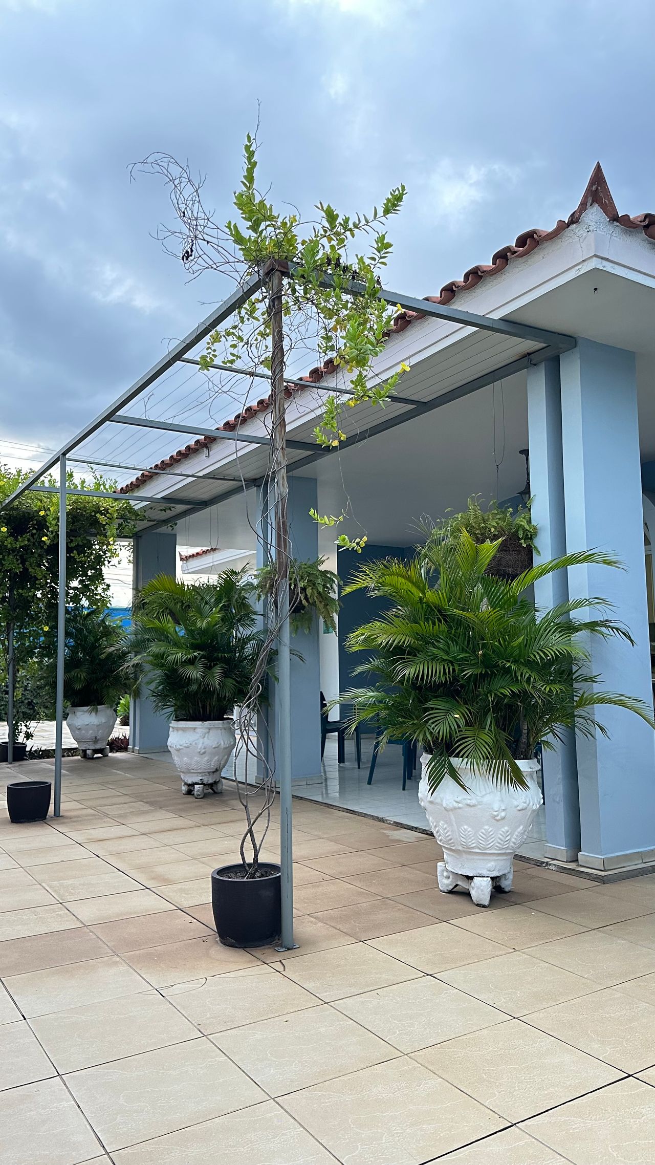 Francisco Das Chagas Moura De Carvalho Feitosa-5