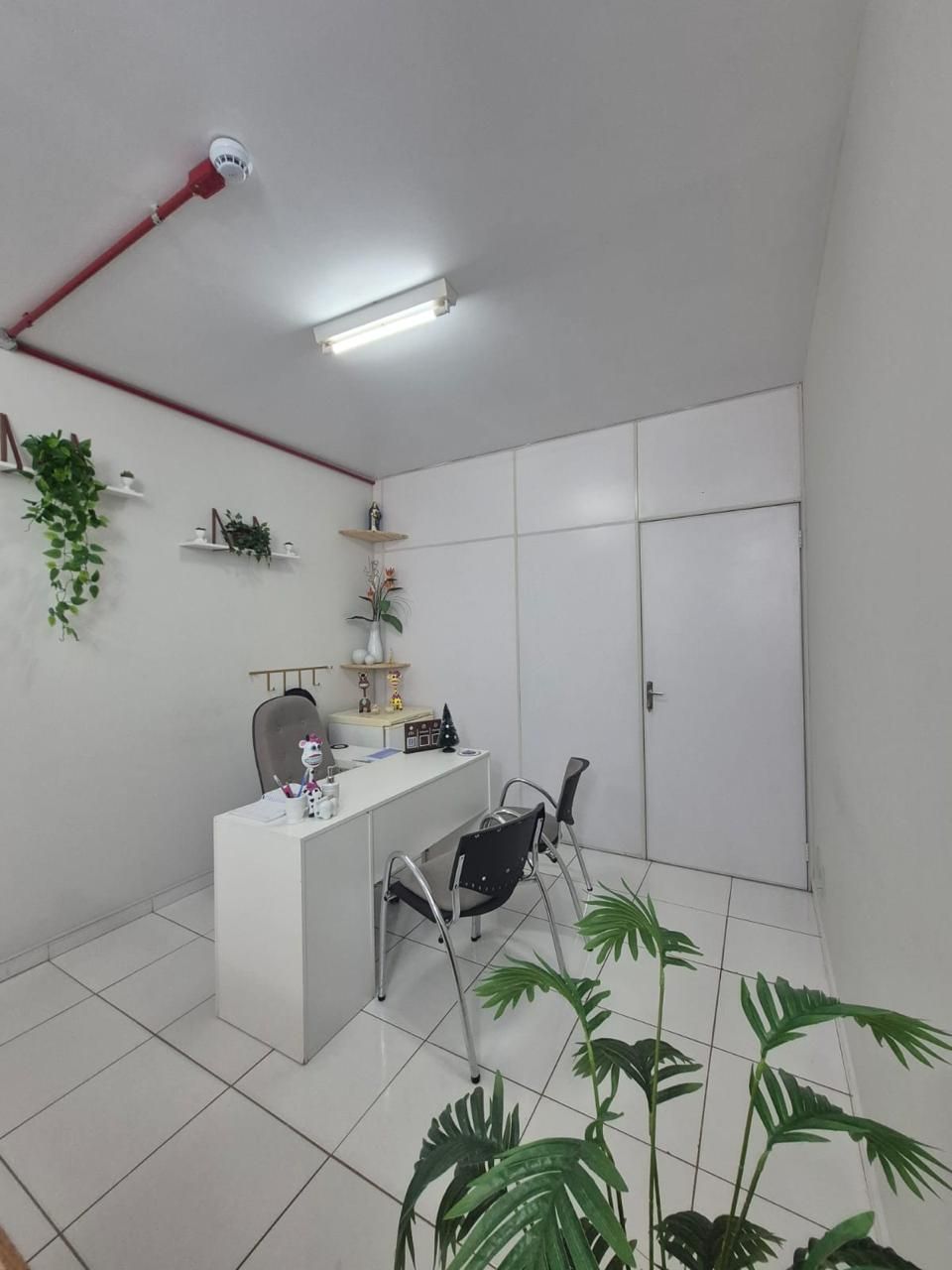 Ana Cristina  De Sousa Fonseca -6