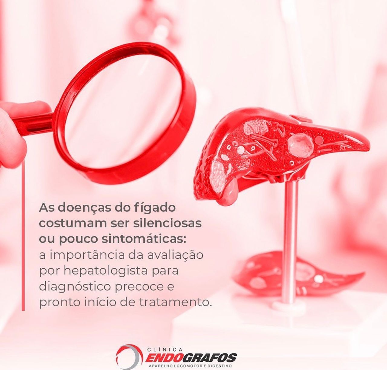 Conceição De Maria Sá E Rêgo Vasconcelos-1